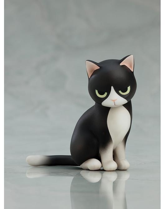 เปิดจอง : Megumi Yakushiji