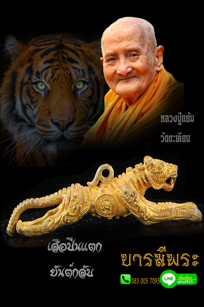 เสือรุ่น7 เสือปืนแตกยันต์กลับ หลวงปู่แย้ม วัดตะเคียน เนื้อทองเหลือง พิมพ์ใหญ่ ปลุกเสกพิธีใหญ่ ฉลองอายุครบ 8 รอบ บารมี 96 ปี๒๕๕๔ พร้อมคาถา ปลุกเสือ สภาพสวยสะสม ไม่ผ่านการใช้
