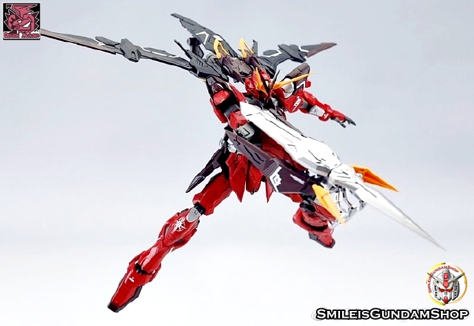 [PO]MG 1/100 ZGMF-X12A Testament[โมจีนMomoko]