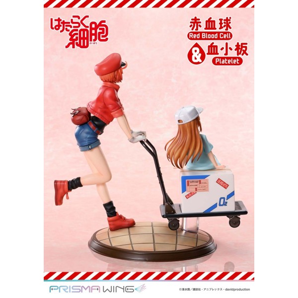 เปิดจอง : PRISMA WING Red Blood Cell & Platelet