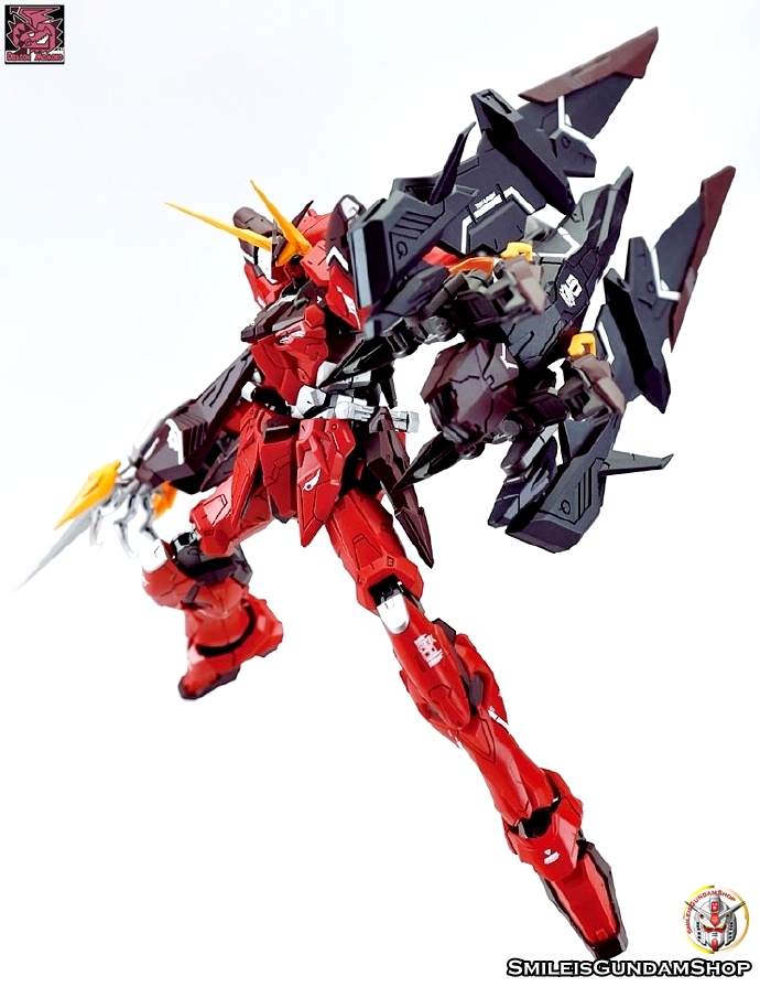 [PO]MG 1/100 ZGMF-X12A Testament[โมจีนMomoko]