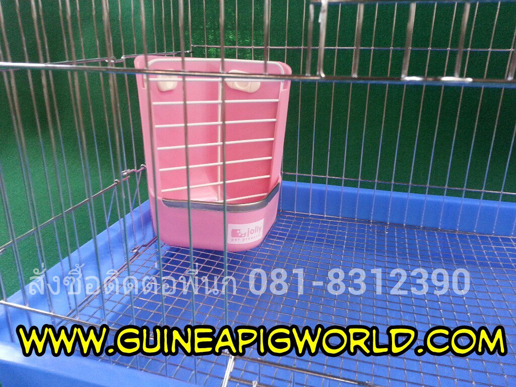 ชามอาหารพร้อมรางใส่หญ้า 2in1 ที่กั้นหญ้าเป็นเหล็กพ่นสีแข็งแรงปลอดภัย มีตัวล็อคติดกับกรงไม่คว่ำง่าย