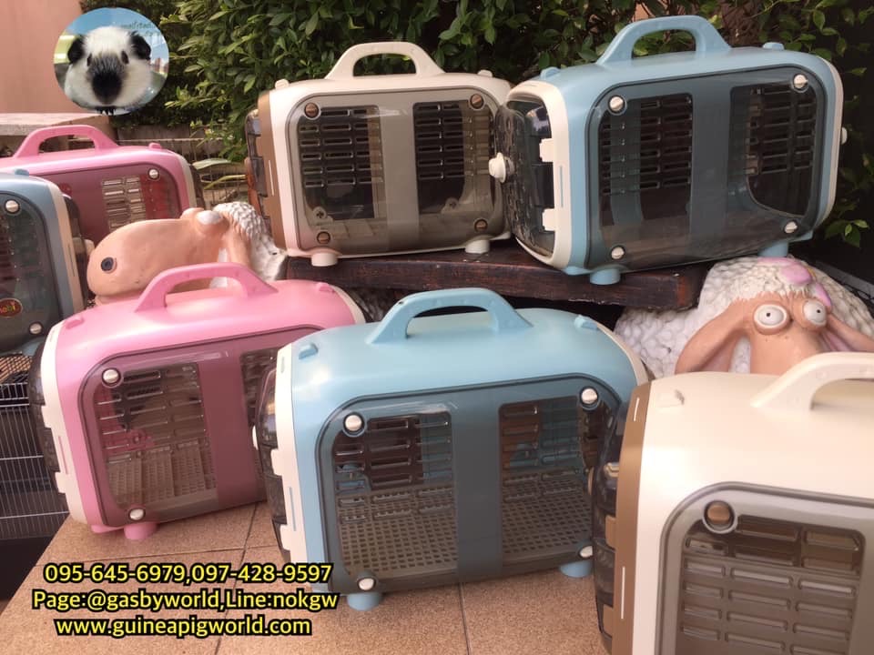 P12557A กรงแคบซูนนำเข้า55.3x28.8xh.38.3cm.มีประตูเปิด2ด้าน,มีพื้น,มีถาด