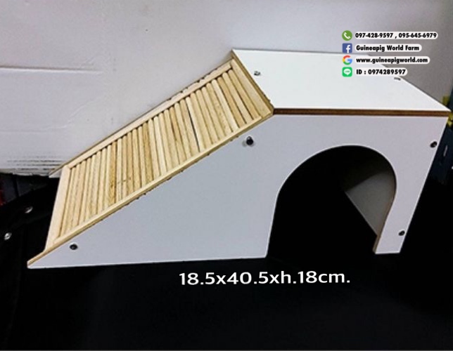Trapezoid House บ้านไม้บันไดเฉียงข้างมีประตูหน้า Size:18.5x40.5xh.18cm.