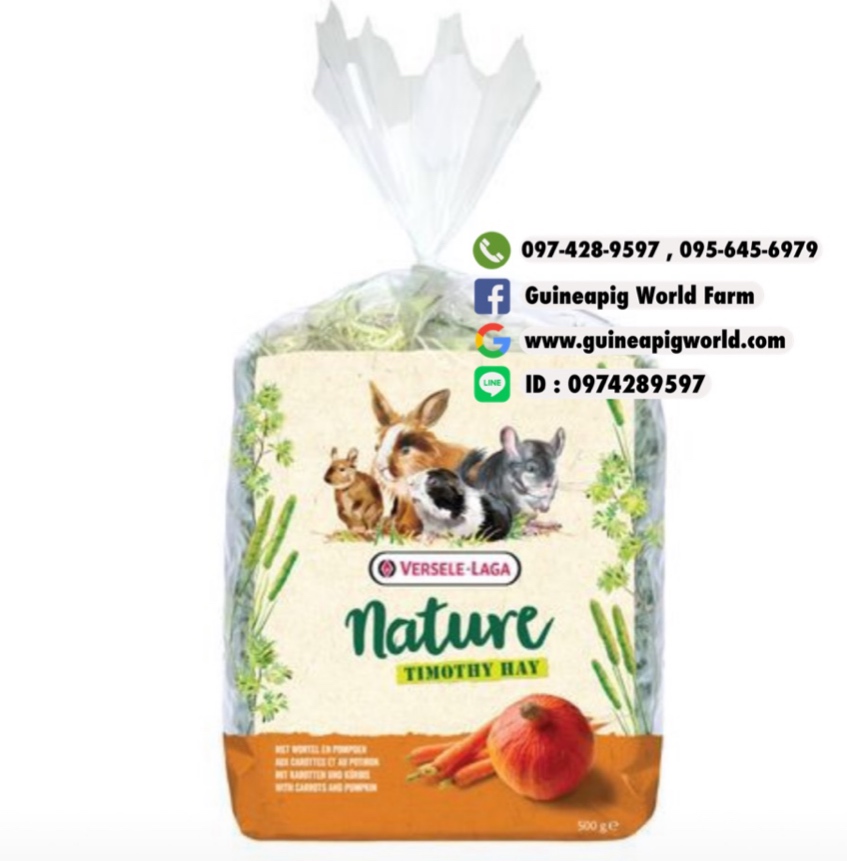 Nature Timothy Hay Carrot&Pumpkin Hay+Veggies 500g. VERSELE-LAGA