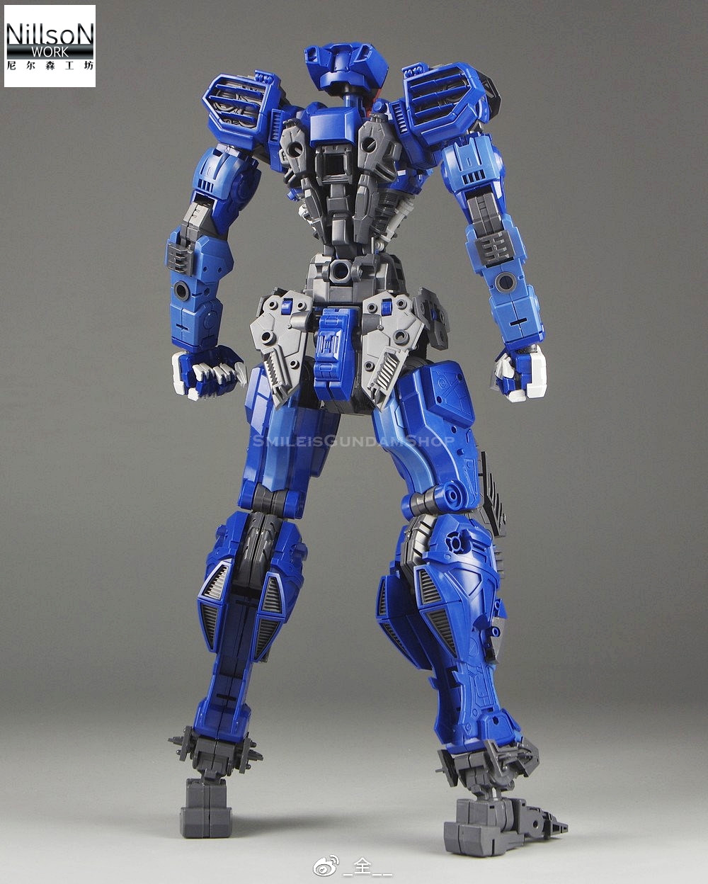 [PO]PG 1/60 Astray Blue Frame Full Armor[โมจีนNillsoN WORK]