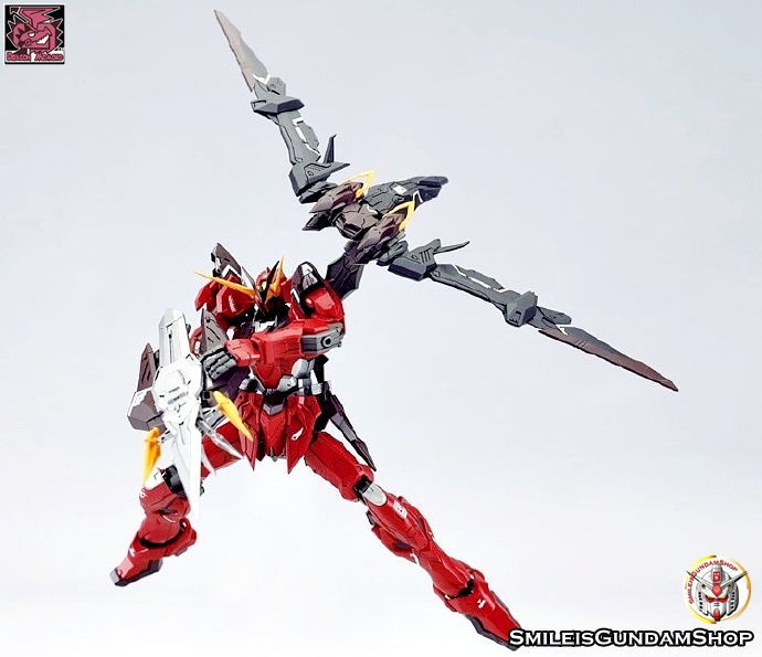 [PO]MG 1/100 ZGMF-X12A Testament[โมจีนMomoko]