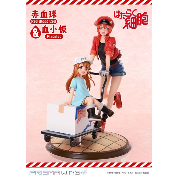 เปิดจอง : PRISMA WING Red Blood Cell & Platelet