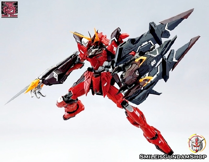 [PO]MG 1/100 ZGMF-X12A Testament[โมจีนMomoko]