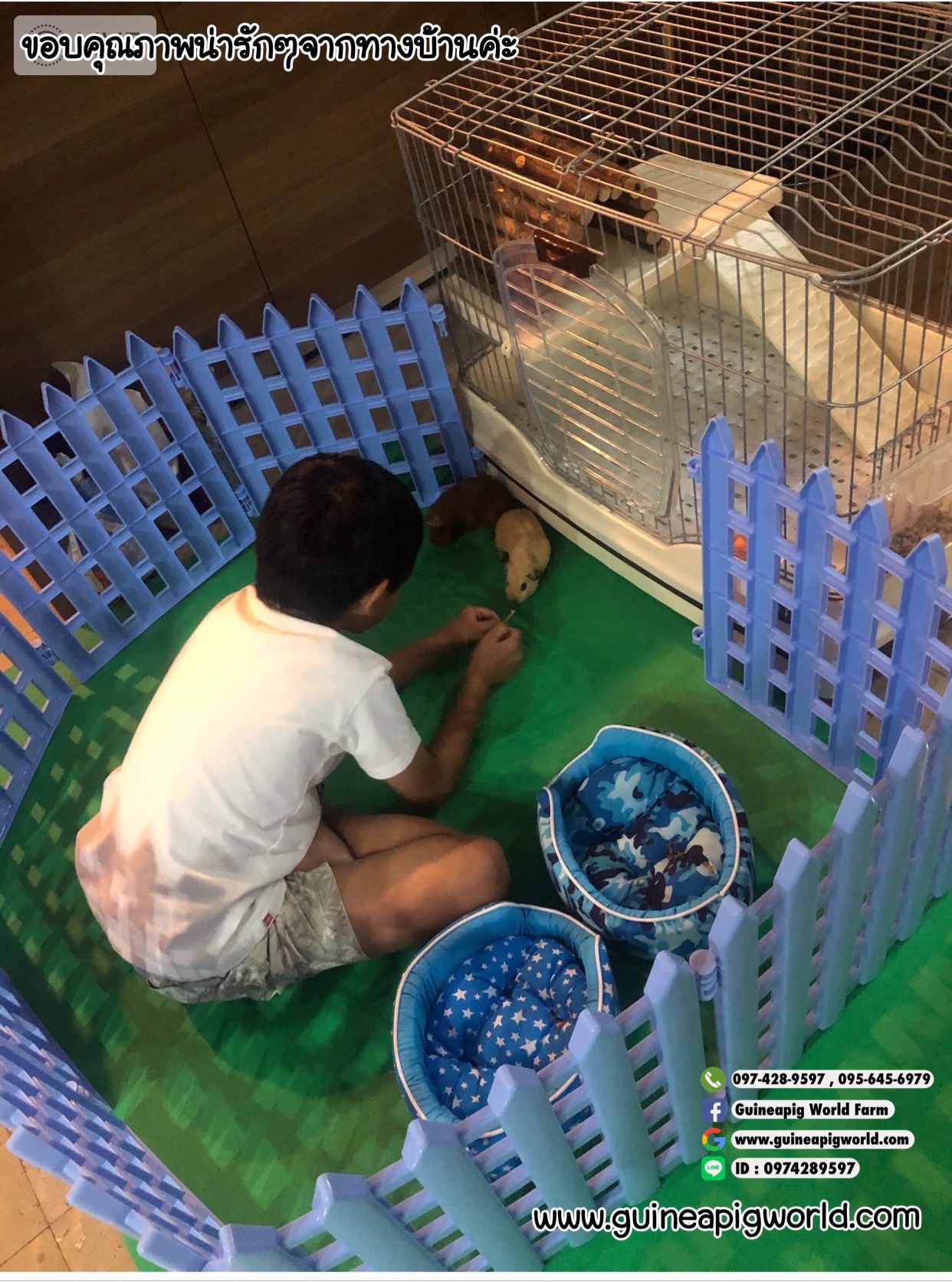 รั้วพลาสติกนำเข้า(ก.43.5xส.41.52xหน้า2cm.)ราคาต่อชิ้น190(1ลังมี10ชิ้นแบ่งขาย4ชิ้น,6ชิ้นได้ค่ะ)พลาสติกเหนียวหนาไม่แตกง่ายทนทาน มีสีชมพู ฟ้า สามารถเกี่ยวเป็นวงกลม สี่เหลี่ยมจตุรัส สี่เหลี่ยมผืนผ้า เคลื่อนย้ายได้สะดวก น้ำหนักเบา ใช้งานได้อเนกประสงค์ ใช้กับส