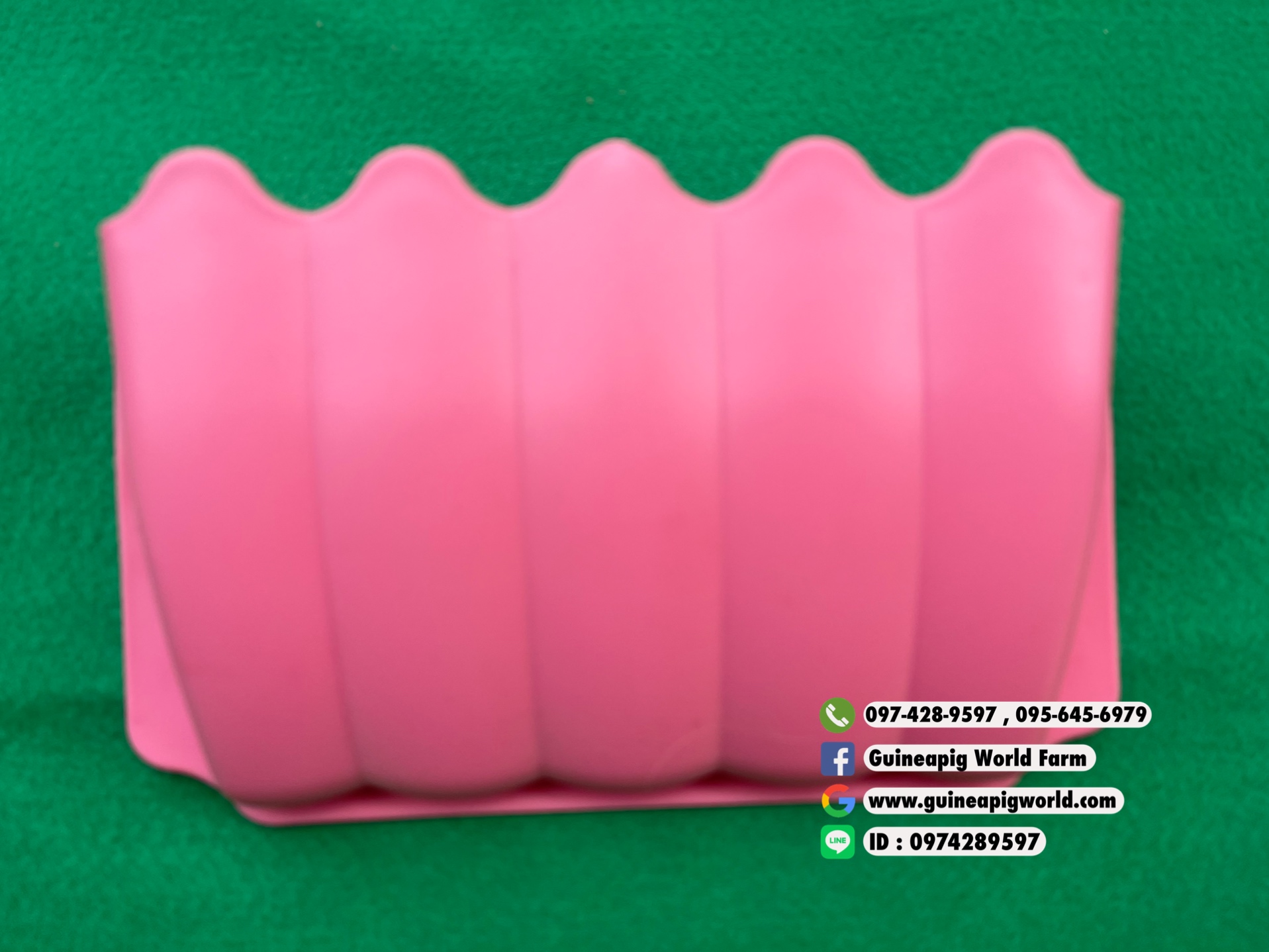 รางใส่หญ้าพลาสติคนำเข้าเกี่ยวข้างกรง,รั้วตระแกรง,ขนาด ก.25xล.6xส.16 ซม.มีสีฟ้า,ชมพู,เขียว เหมาะสำหรับสัตว์เล็กค่ะ