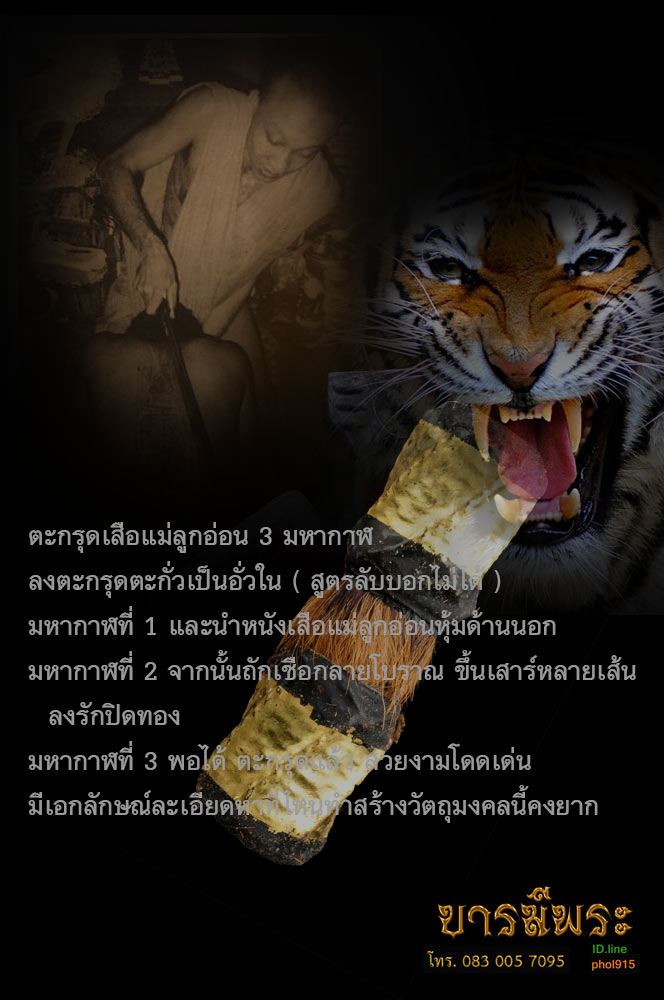 ตะกรุดหนังเสือแม่ลูกอ่อน หลวงพ่อชำนาญ วัดบางกุฎีทอง อันว่าเสือแม่ลูกอ่อนเป็นเสือนอนกินอย่างแท้จริงนอนอยู่ในถ้ำมีเสือจ่าฝูงหาอาหารมาให้กิน พุทธคุณ เมตตาสูงมากและมหาอำนาจ สวยไม่ผ่านการใช้ ตรงตามรูป
