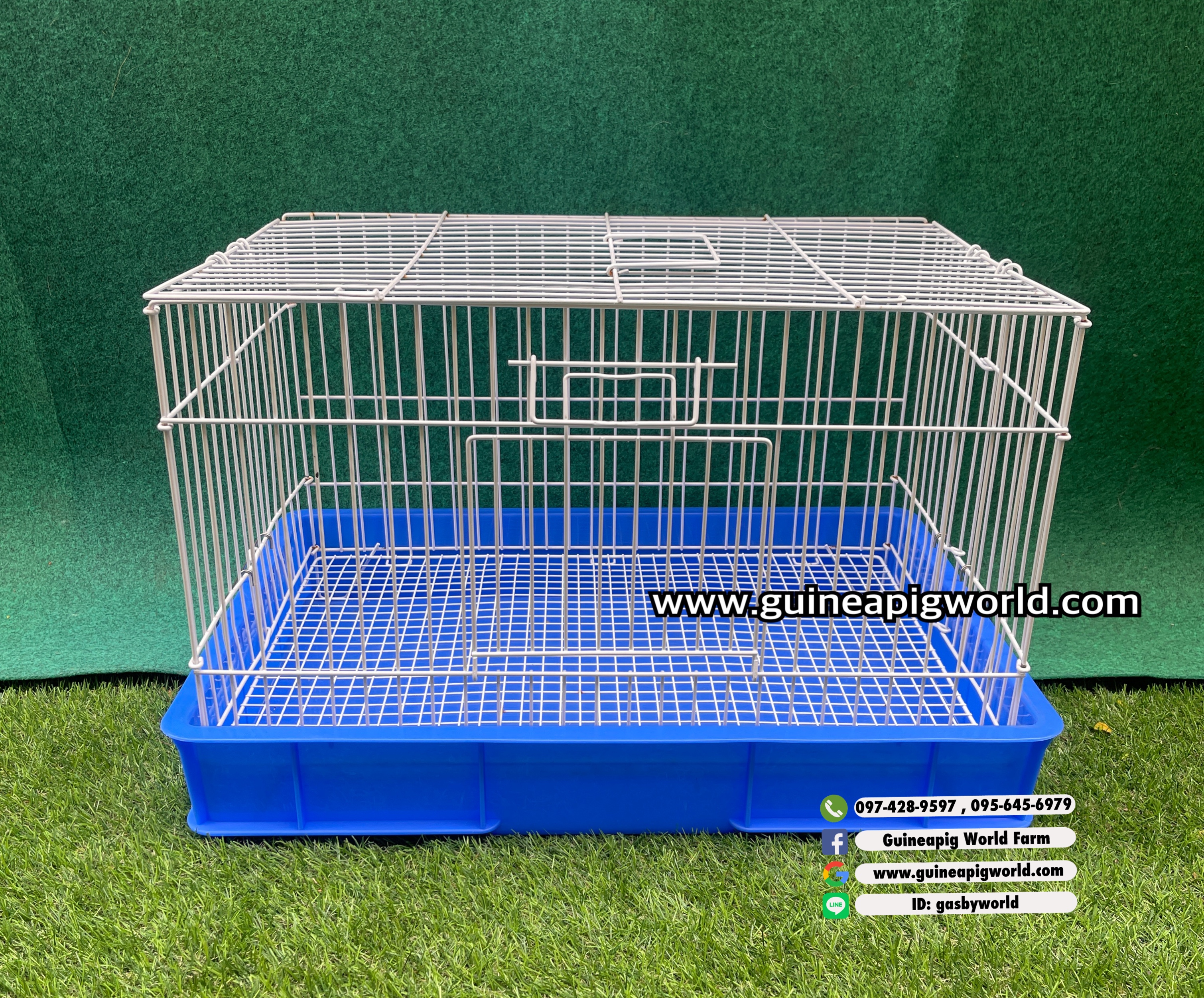 T3 กรงชุบขาวพับได้มีพื้นตระแกรง ขนาดประมาณ W.42xL.61xH.38 cm.(มีถาดสีน้ำเงินและสีชมพู)