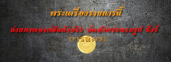 เสือกกเสือ (เสือแม่ลูกอ่อน) หลวงปู่นาม วัดน้อยชมภู่ สุพรรณบุรีรุ่นแรก เนื้อสัมฤทธิ์แดง ของแรง ราคาเบา