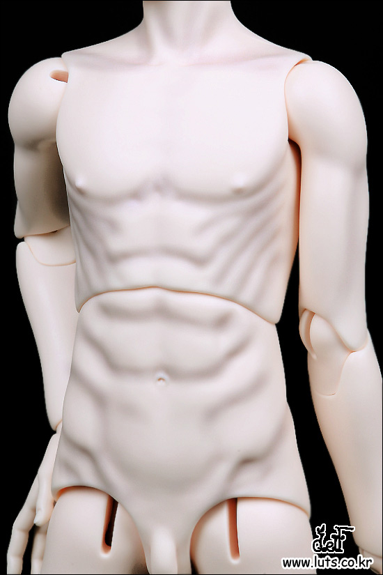 Senior Delf Body BOY Type 2
