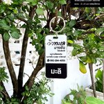 พวงกุญแจโฮมสเตร์ ชื่อห้องพัก พวงกุญแจอะคริลิคแบบสติ๊กเกอร์ พร้อมเจาะรูใส่ห่วง สไตล์โมเดิร์น มินิมอล เรียบง่าย