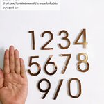 ป้ายบ้านเลขที่มงคล ป้ายเลขที่บ้านสีนำ้ตามเงา ป้ายสีโรสโกลสไตล์โมเดิร์นหรูหรา คลาสสิค