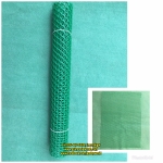 ตาข่ายพลาสติกสีเขียว ขนาด45x65cm. หรือ สั่งตัดขนาดที่ต้องการได้