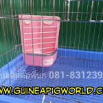 ชามอาหารพร้อมรางใส่หญ้า 2in1 ที่กั้นหญ้าเป็นเหล็กพ่นสีแข็งแรงปลอดภัย มีตัวล็อคติดกับกรงไม่คว่ำง่าย