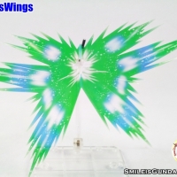 ปีกแสง(สีเขียว) RG 1/144 EXIA[EffectsWings]