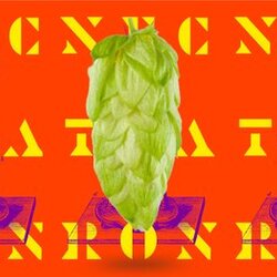 Nectaron NZ Hop Pellets T-90