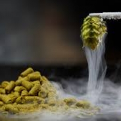CITRA Cryo Hops 1 LB.
