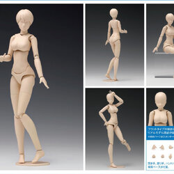 เปิดจอง Movable Body Female [B Version]