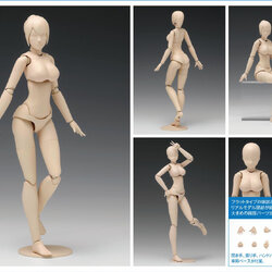เปิดจอง Movable Body Female [C Version]