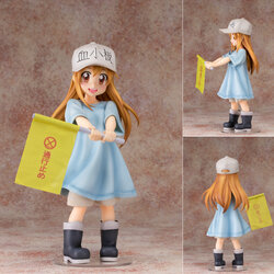 เปิดจอง Celles at Work! - Platelet