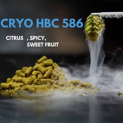 KRUSH (HBC586) Cryo Hop