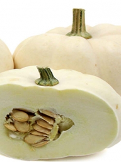 ฟักทอง หยกขาว (เมล็ด)