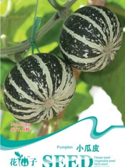 ฟักทองจิ๋ว ลายเขียวขาว (เมล็ด)