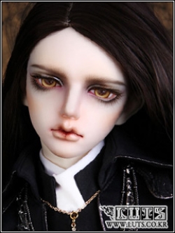 Senior65 Delf ONYX Head