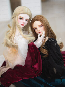 Senior65 Delf DIEZ Head Limited