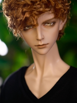 [NEW SEZZ] Head Only