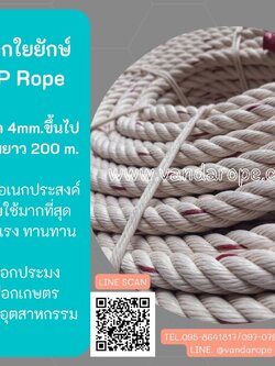 เชือกใยยักษ์ ขนาด 4-50 มิล เชือกเซฟตี้ เชือกใยเหนียว