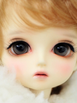 Add Other Face Up, Boy Body