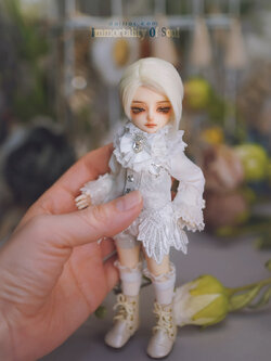 Class16 [FLAT]::FULL SET::