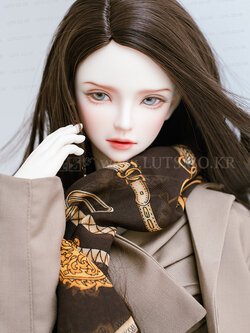 Senior65 Delf AMBER Head Limited