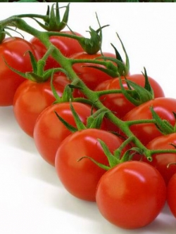 มะเขือเทศเชอร์รี่ สีแดง - Tumbling Tom Red (5 เมล็ด/ซอง)