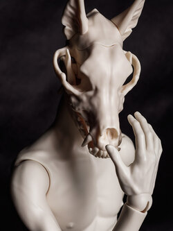 Class70 [RAUL] Head Only