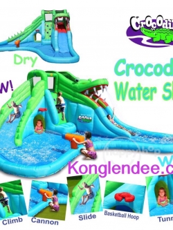 บ้านลมจรเข้