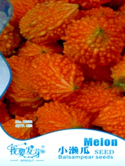 มะระแดง