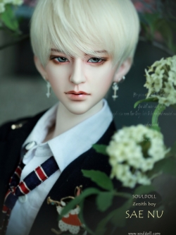 Special Makeup(Add+2,880), Dove B.Grey Skin(Add+4,320)