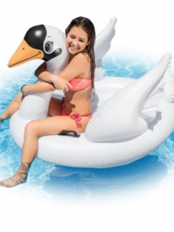 Intex แพหงส์ขาวน้อย สีขาว รุ่น 57557