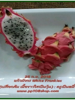 เมล็ด แก้วมังกร เปลือกส้ม เนื้อขาว (Frankies White Pitaya หรือ Yellow Lamon Pitaya) หายากมาก อร่อยที่สุดตั้งแต่เคยกินแก้วมังกรมา
