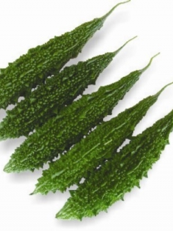 มะระเขียว อินเดีย OP (India Praneeta OP)