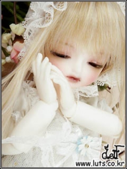 PUDDING DREAMING (Real Skin WHITE)