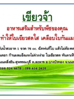 เขียวจ้า