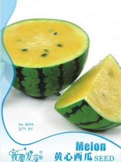 แตงโมจิ๋วลูกกลม สีเหลือง (F1)